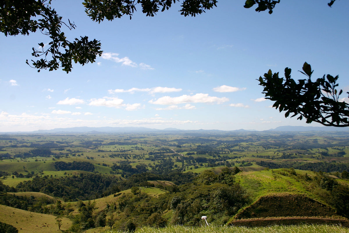 Discovering the Atherton Tablelands