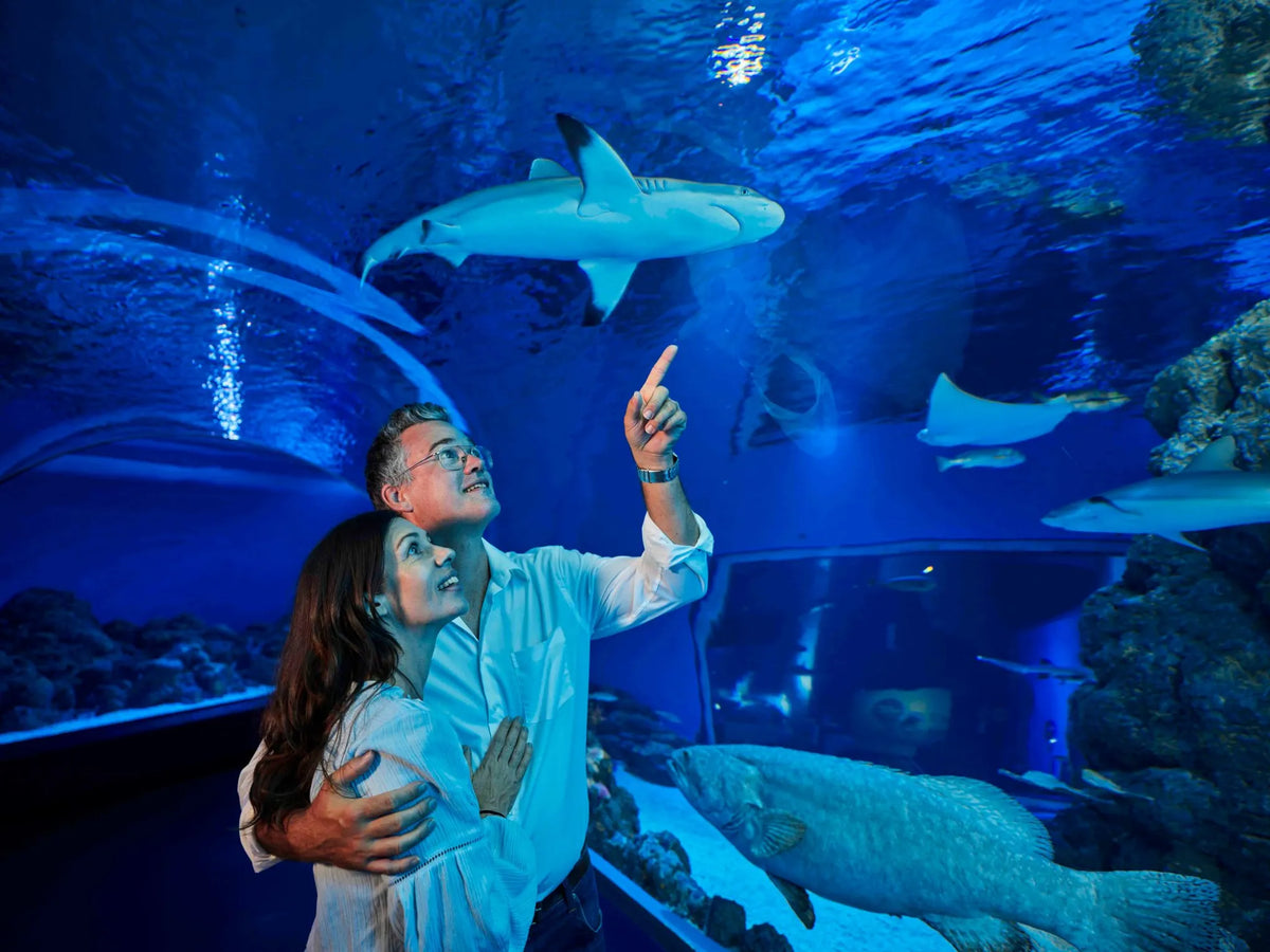 Cairns Reef Aquarium