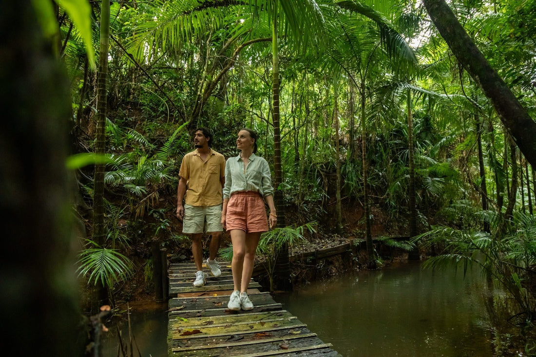 Ancient Rainforest, Living History
