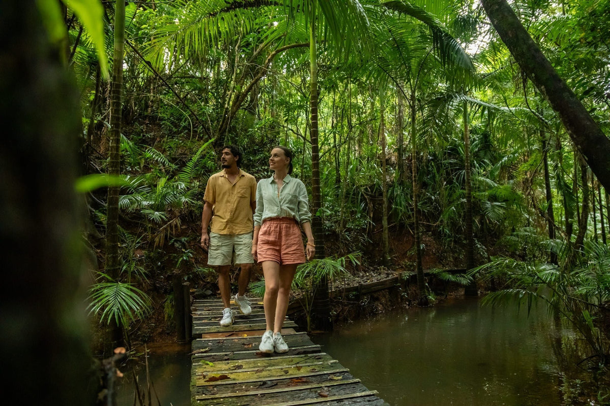 Ancient Rainforest, Living History