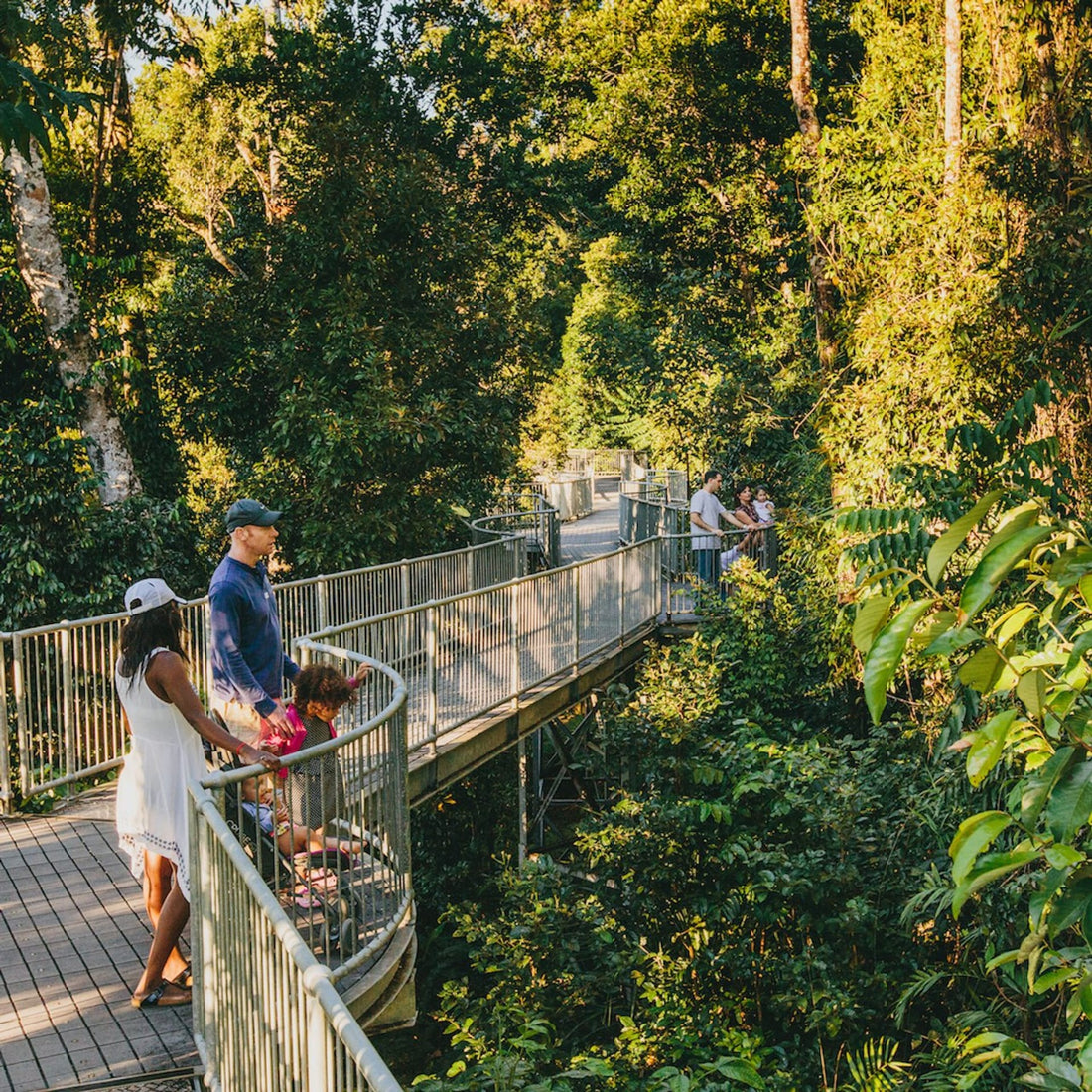 Mamu Tropical Skywalk
