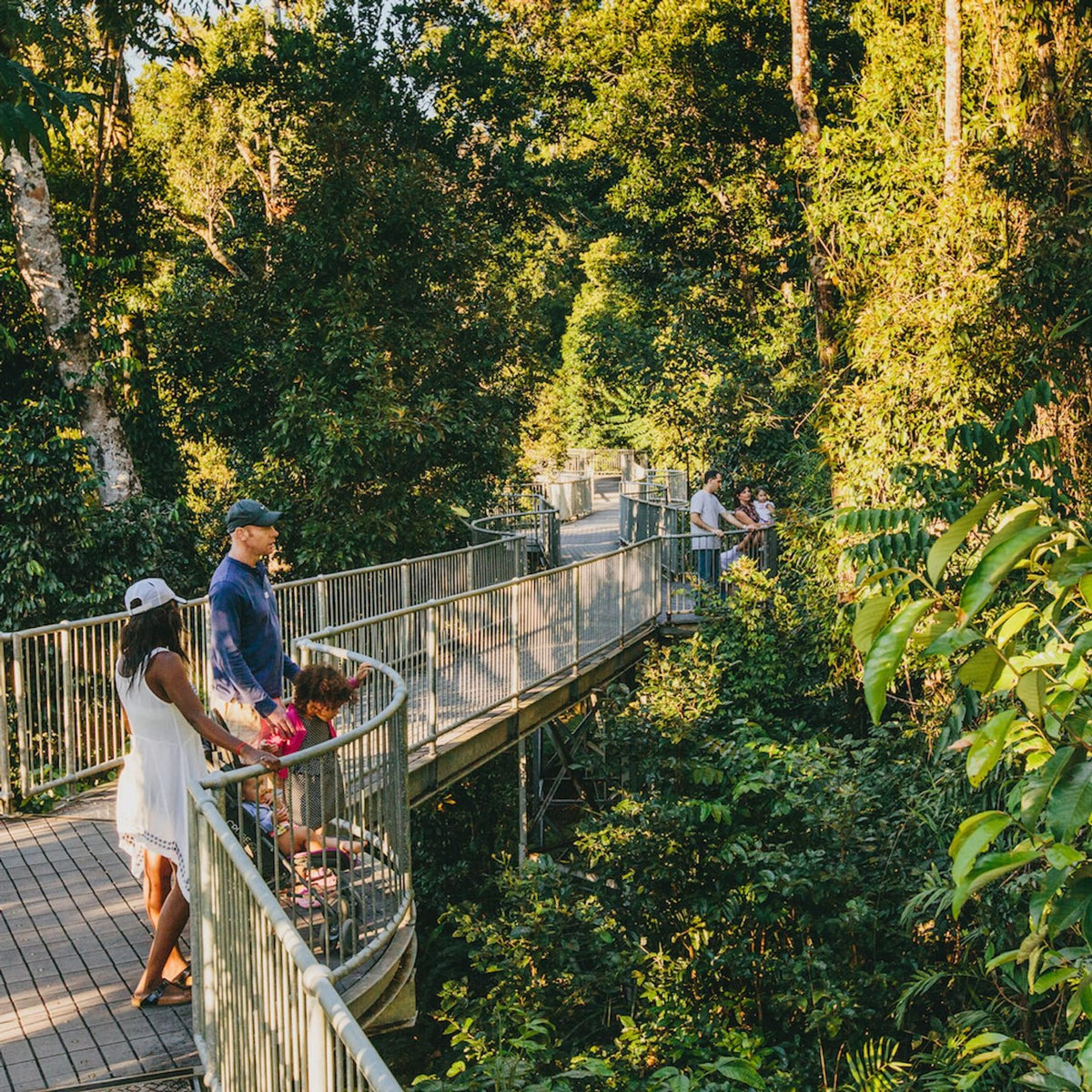 Mamu Tropical Skywalk